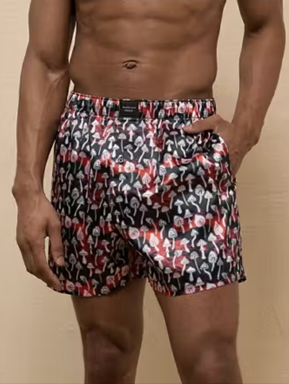 American Eagle 4" Satin Boxer Mushroom Briefs Loungewear Button Fly Large Sleep - Picture 1 of 6